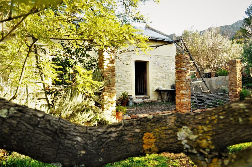 Bethany Farm Twee Riviere エクステリア 写真
