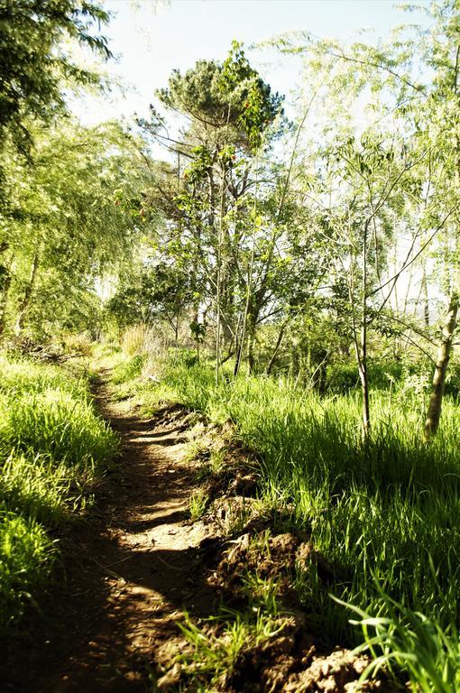 Bethany Farm Twee Riviere エクステリア 写真