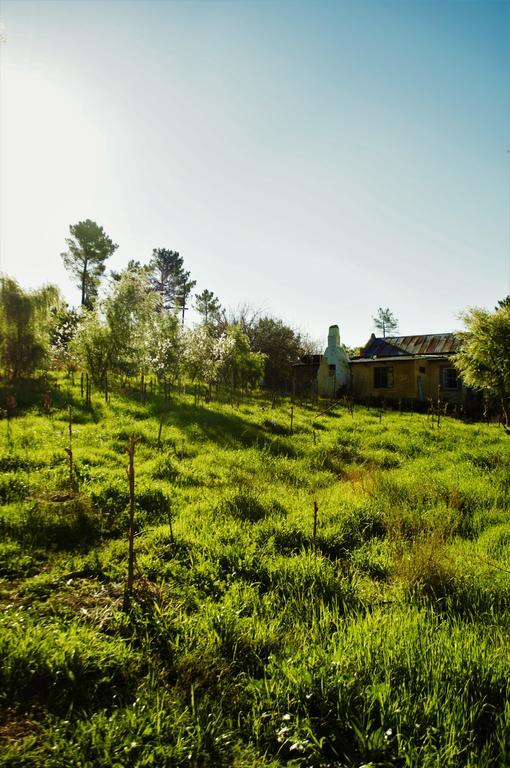 Bethany Farm Twee Riviere エクステリア 写真