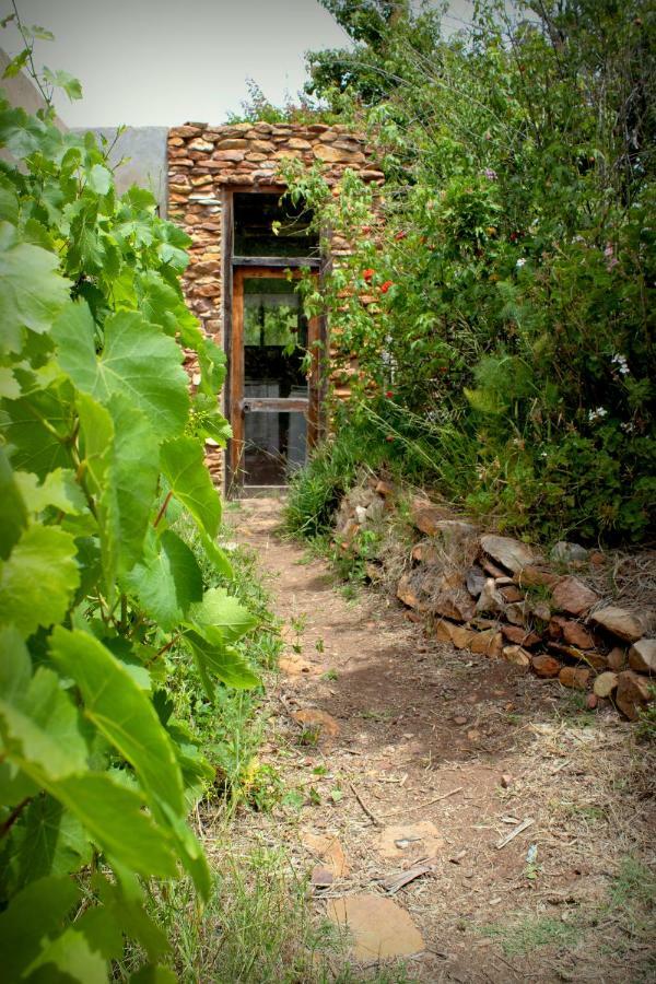 Bethany Farm Twee Riviere エクステリア 写真